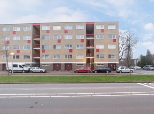 Twiskeweg 254, Zaandam