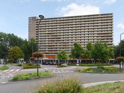 Hendrik Tollensstraat in Delft (65m2)