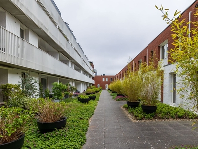 Jacobstraat 35