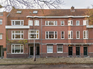 Goltziusstraat 28