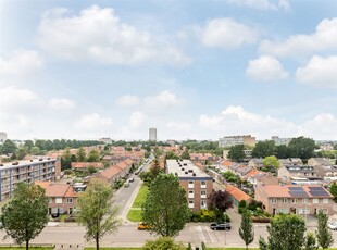 Trekvogelweg 255