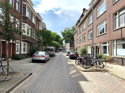 Groen van Prinstererstraat in Rotterdam (50m2)