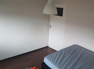 Apartment te huur in Arnhem