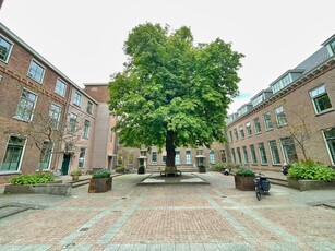 Oegstgeest - Rhijngeesterstraatweg