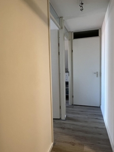 Appartement in Haarlem met 3 kamers