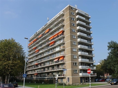 Meidoornhoek in Rotterdam (67m2)