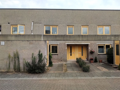 Paukenstraat 50