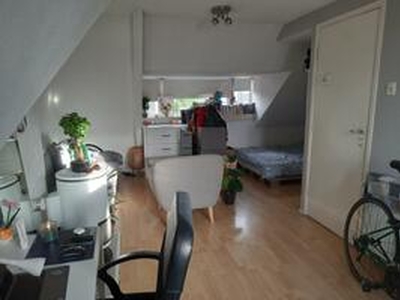 Studio te huur in Haarlem