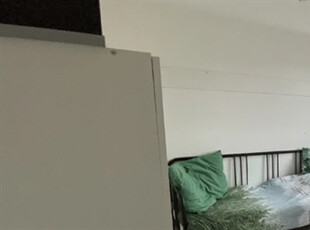 Appartement te huur Beukenlaan, Eindhoven