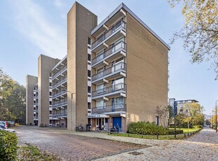 Boerhaavelaan 111, Leiden