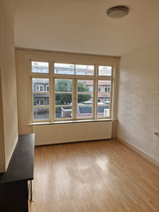 Appartement te huur Stuyvesantstraat, Den Haag