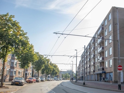 Ir J.P. van Muijlwijkstraat 262