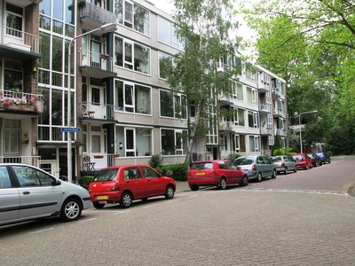 Twickelstraat 59