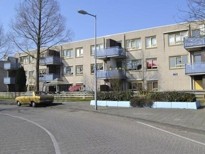 Wederikpad in Amsterdam (55m2)