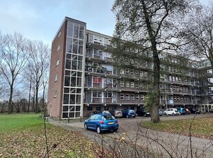 Berkenlaan 335, Zutphen