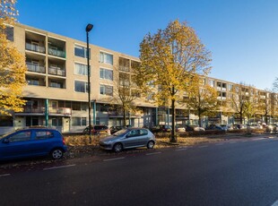 Bovenwoning Aartsbisschop Romerostraat, Utrecht huren?