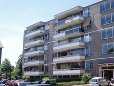 Appartement te huur in Leiden