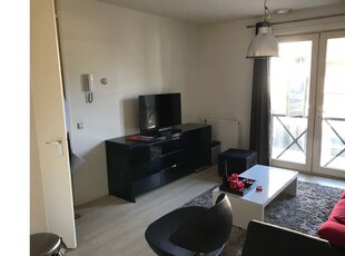 Huur 1 slaapkamer appartement van 43 m² in Tilburg