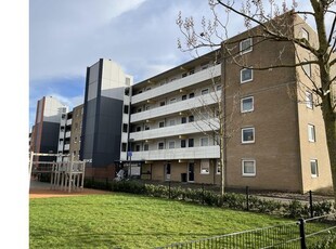 Huur 2 slaapkamer appartement van 60 m² in Schiedam