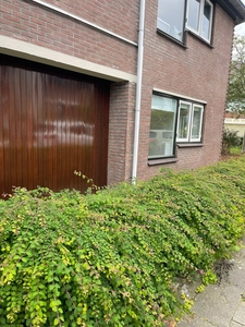 Benedenwoning Honingstraat, Hilversum huren?