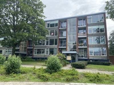 Berkel in Apeldoorn (62m2)