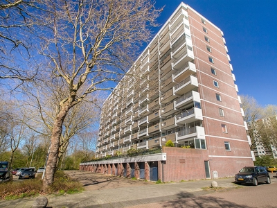 Jisperveldstraat 152