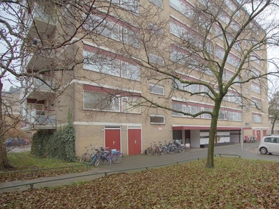 Molengraaffplantsoen in Utrecht (96m2)