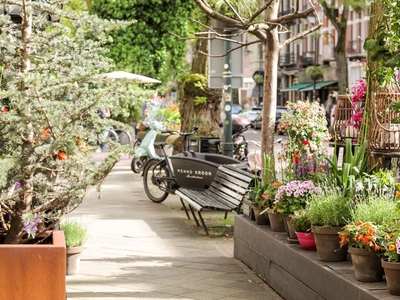 Van Eeghenstraat in Amsterdam (55m2)