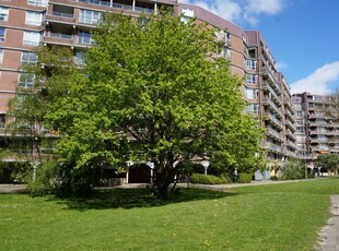 Appartement in Amsterdam met 5 kamers