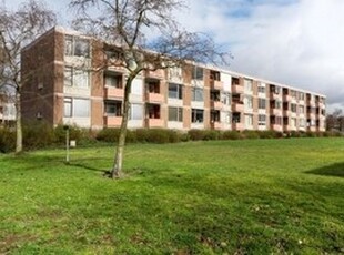 Appartement te huur in Nijmegen