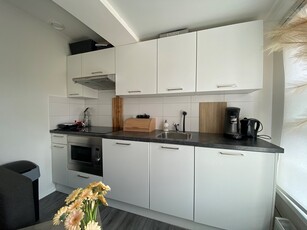 Appartement te huur Professor Rankestraat, Groningen