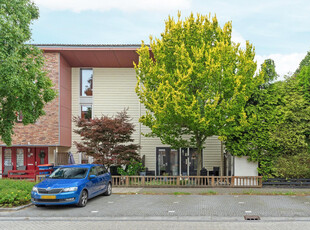 Brancusistraat 83