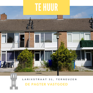 Larixstraat in Terneuzen