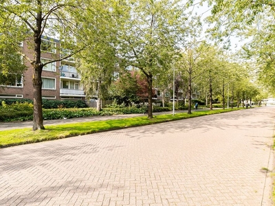 Schierstins in Amsterdam (70m2)