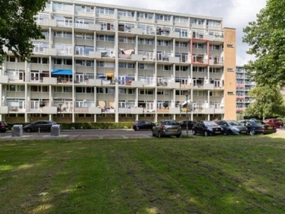 Van Bosseplantsoen in Dordrecht (80m2)