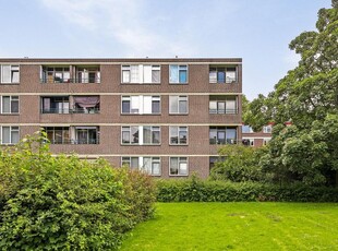 Ruigoord 45, Rotterdam