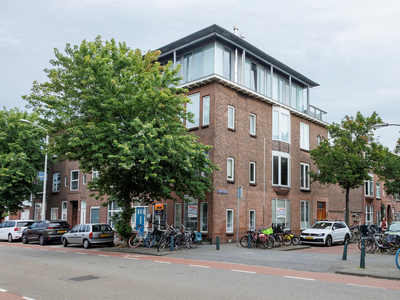 Ligusterstraat 109a