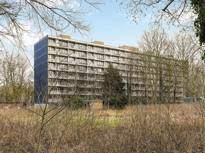 MVGM Verhuurd onder voorbehoud: Guido gezellelaan 60, delft