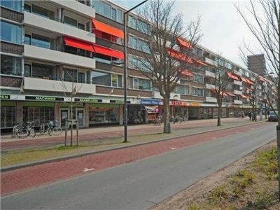 Papsouwselaan in Delft (91m2)