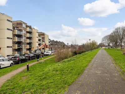 Parkweg 206