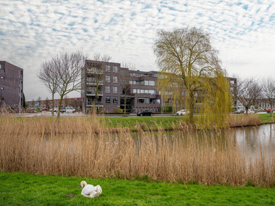 Zuidersingel 16