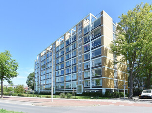 Louis Davidsstraat 749