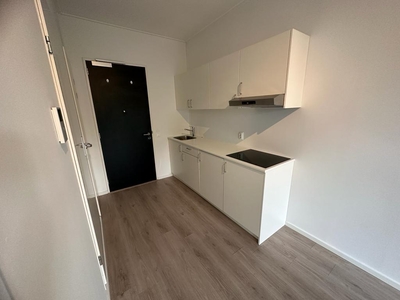 Appartement Flintstraat in Emmen