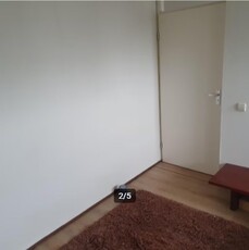 Appartement te huur Borgesiusstraat, Rotterdam