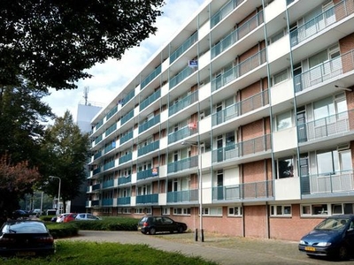 Professor Cobbenhagenlaan in Tilburg (75m2)