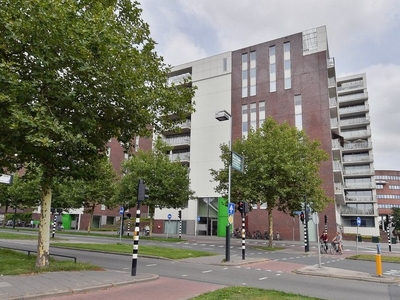 Schapenkamp in Hilversum (137m2)