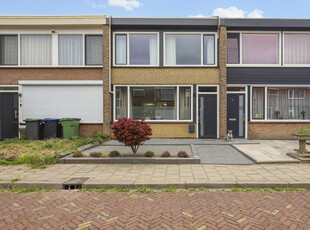 Graaf Reinoutstraat 33