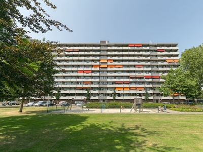 Bovenwoning Graaf Adolfstraat, Eindhoven huren?