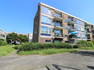 Ruigenhoek in Rotterdam (50m2)