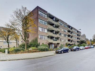 C.F. Klaarstraat 59